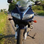 Suzuki sv1000s