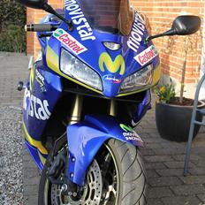 Honda CBR 600 RR *MOVISTAR*