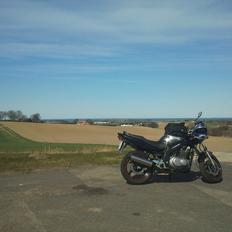 Suzuki GS500
