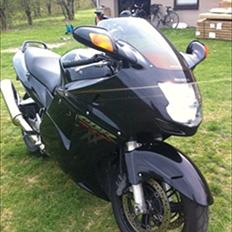 Honda CBR 1100 XX Super Blackbird