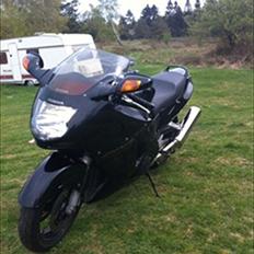 Honda CBR 1100 XX Super Blackbird