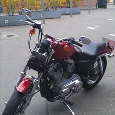 Harley Davidson XL sporster 883