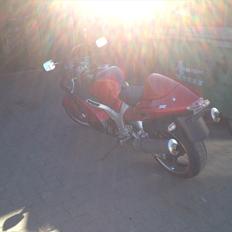 Suzuki hayabusa 