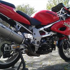 Suzuki TL1000S (Solgt)