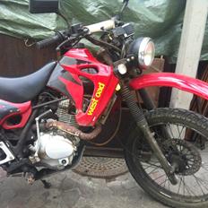 Shineray Westroad XY200GYE