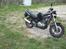 Suzuki GS500