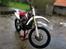 Honda cr 500 af