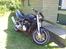 Suzuki Bandit streetfighter