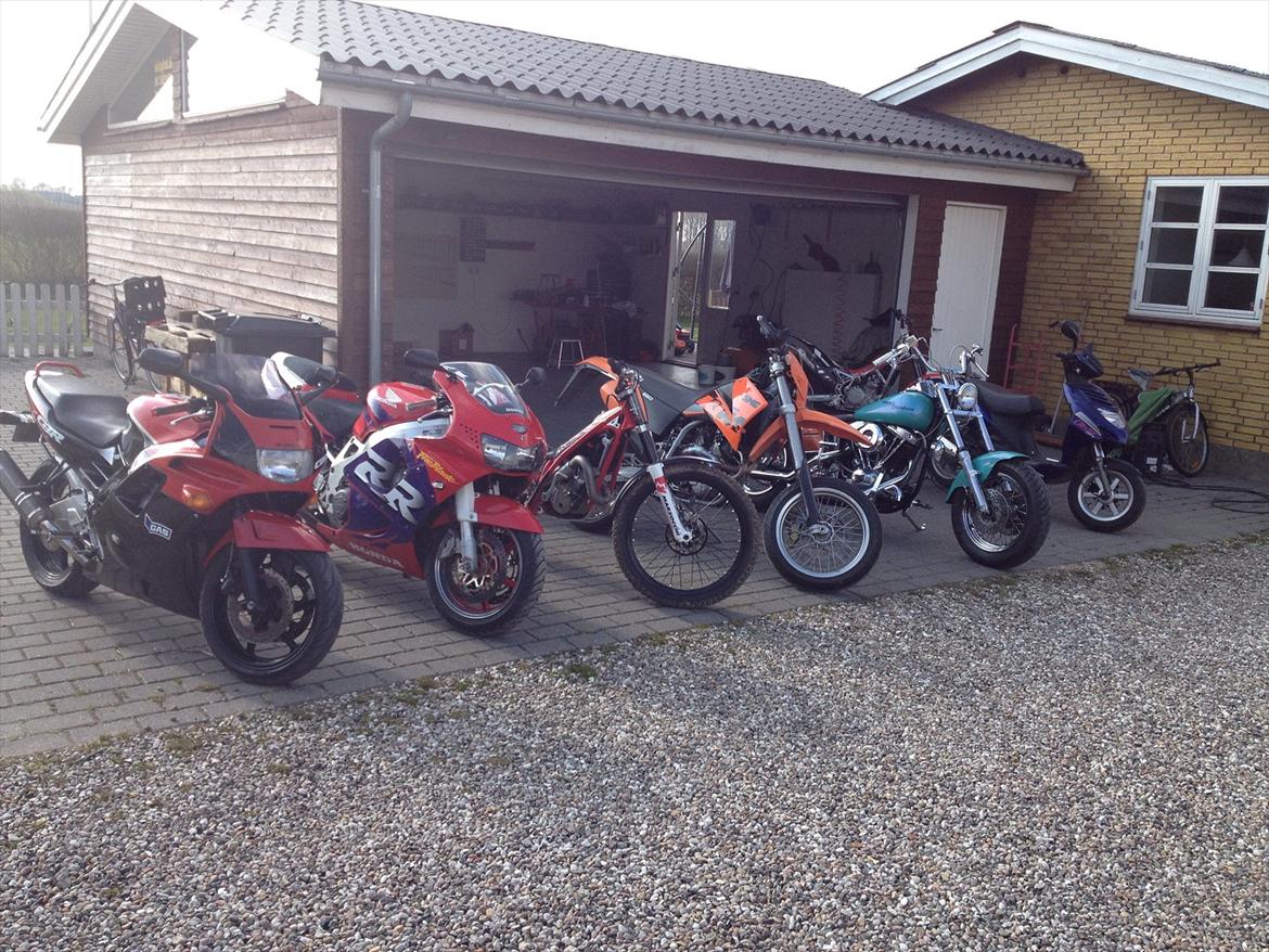 Honda Cbr 600 billede 5