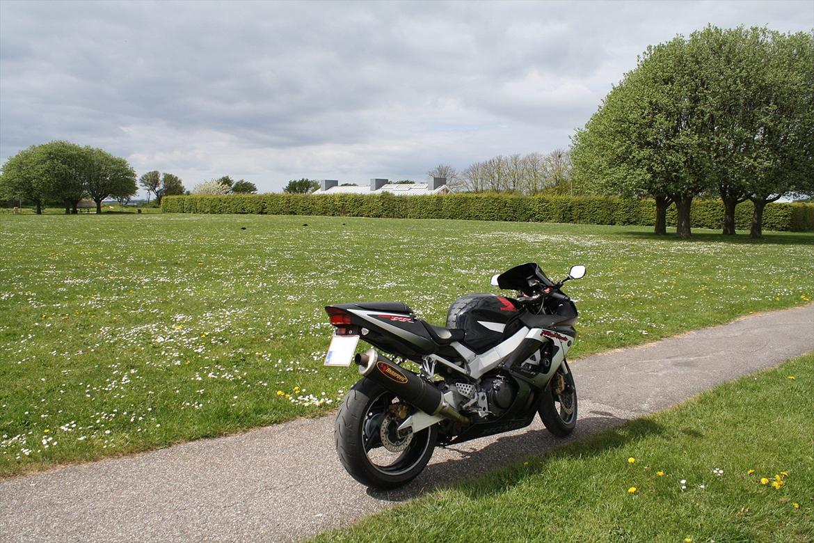 Honda CBR929RR ( Solgt ) billede 9