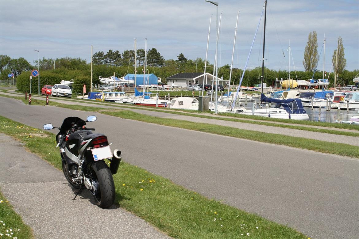 Honda CBR929RR ( Solgt ) billede 12