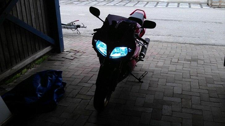 Suzuki SV 1000 SOLGT - 2012 Billeder billede 1