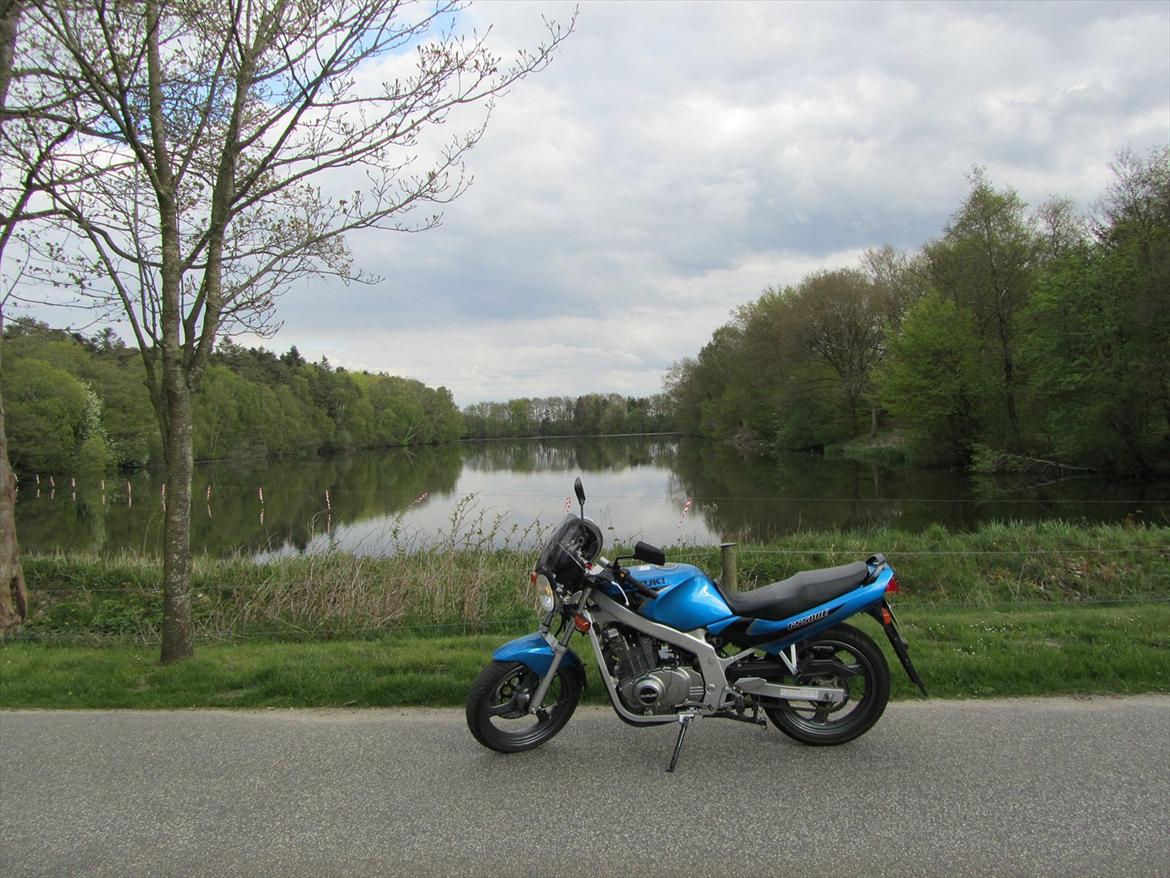Suzuki GS 500 E billede 1
