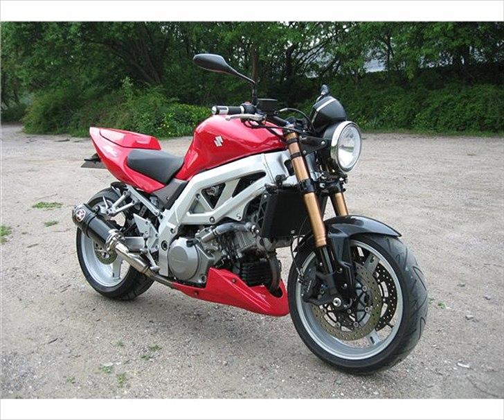 Suzuki Solgt: SV 1000 billede 1