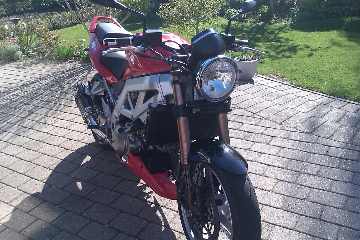 Suzuki Solgt: SV 1000 billede 8