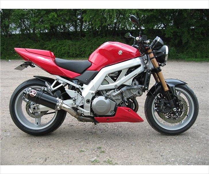 Suzuki Solgt: SV 1000 billede 10