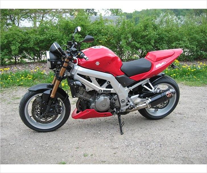 Suzuki Solgt: SV 1000 billede 11