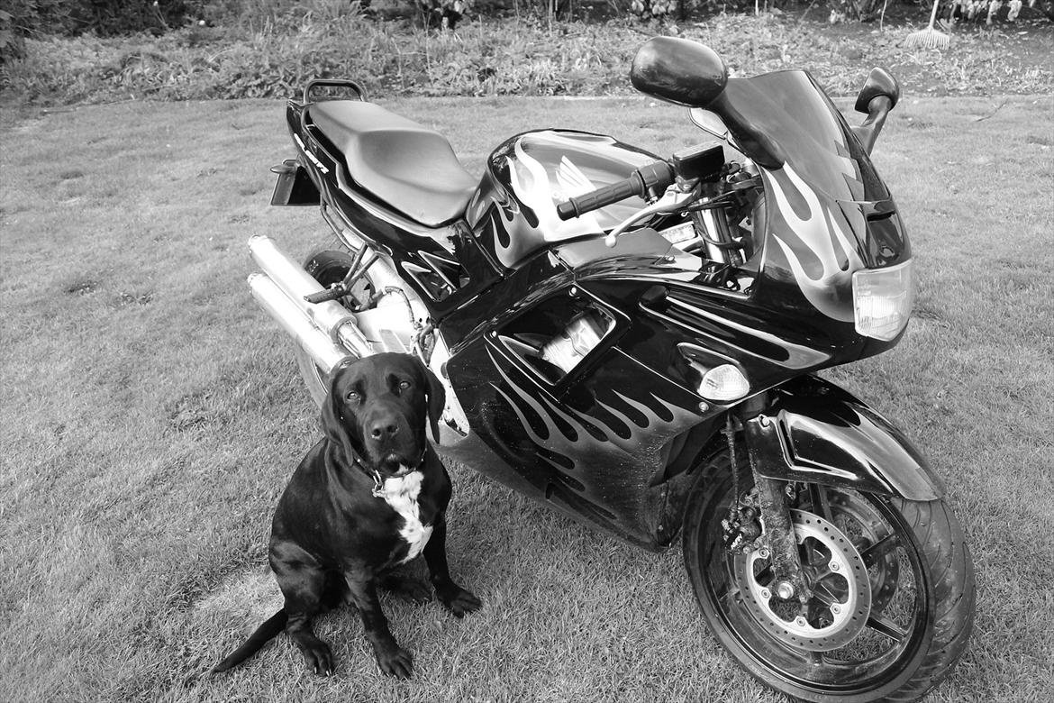 Honda cbr 600 f2 billede 2