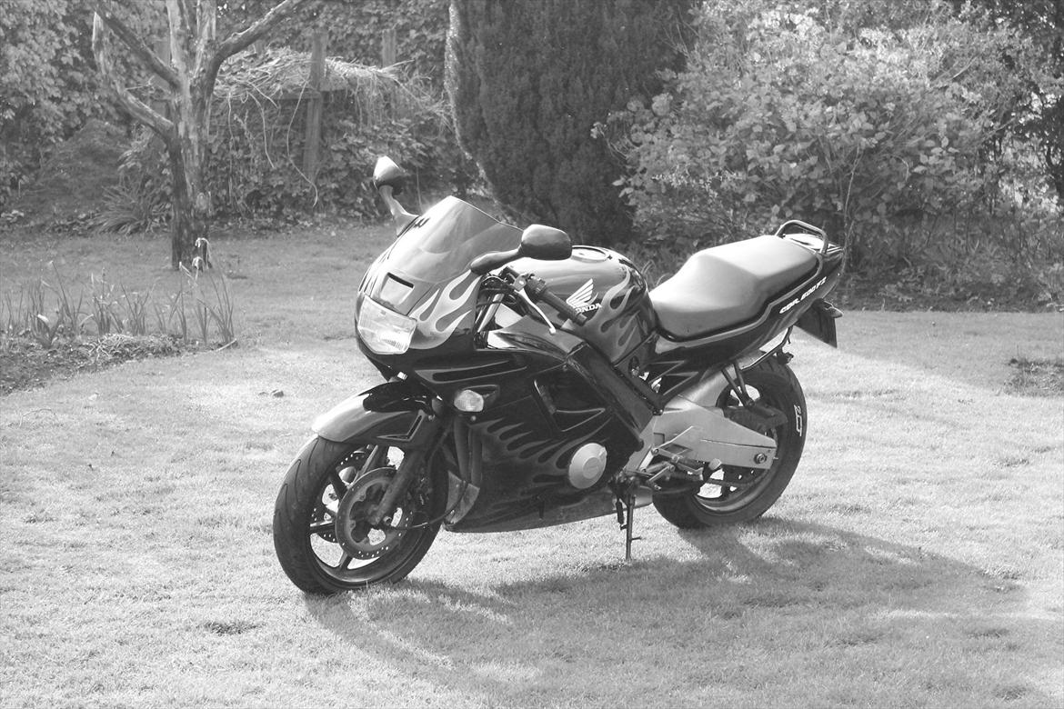 Honda cbr 600 f2 billede 3