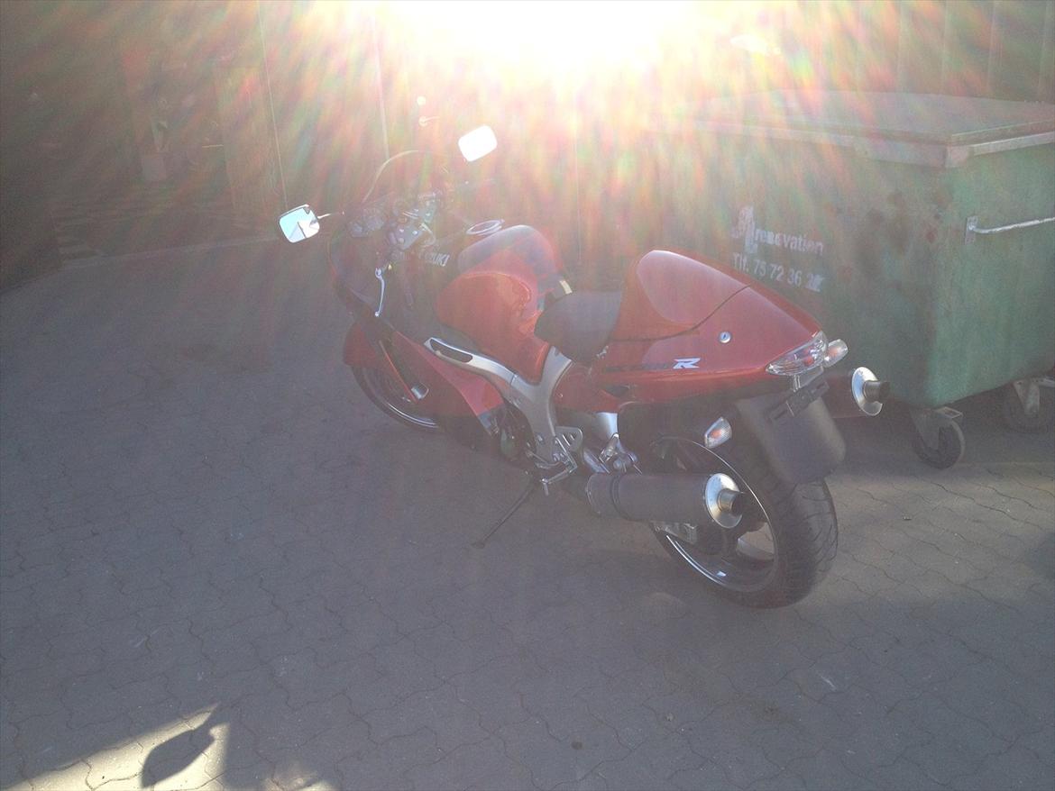 Suzuki hayabusa  - solen skinner altid på en busa billede 3