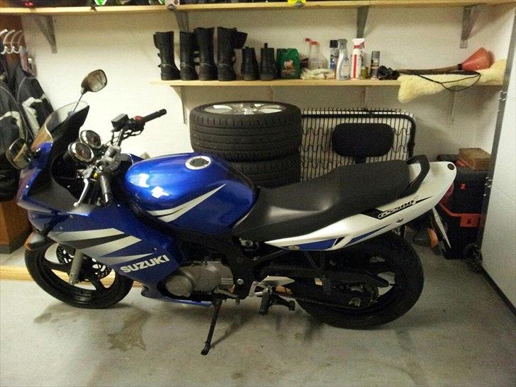 Suzuki GS 500F - Vinteropbevaring billede 2