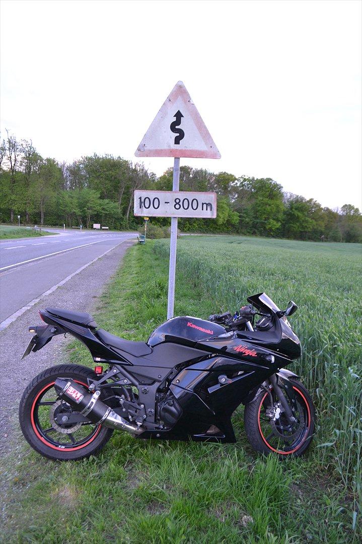 Kawasaki Ninja 250 R billede 3