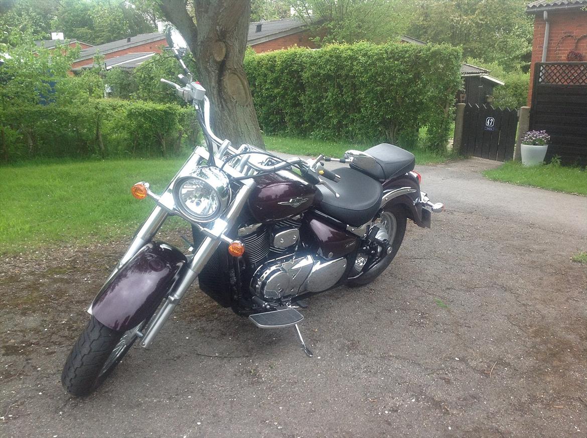 Suzuki vl800 boulevard billede 4