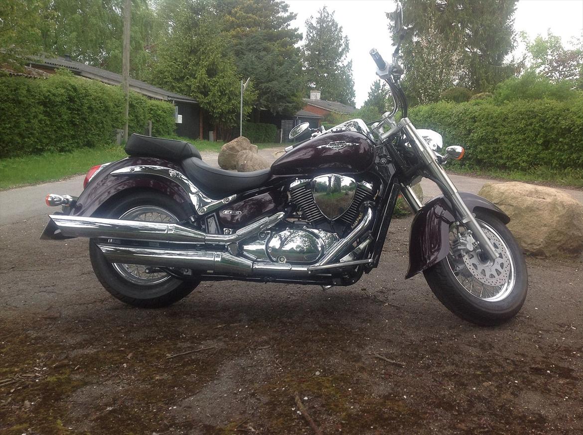 Suzuki vl800 boulevard billede 5