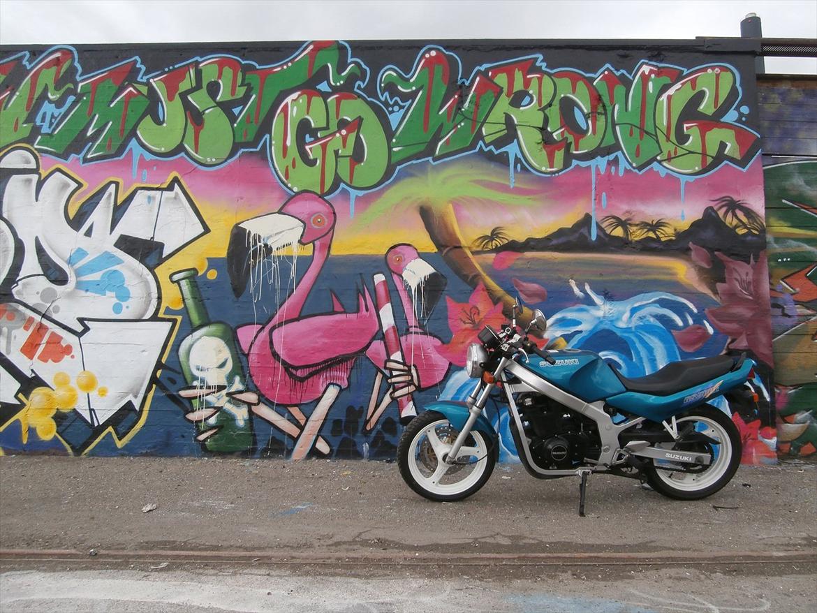 Suzuki GS 500E ( solgt ) billede 1