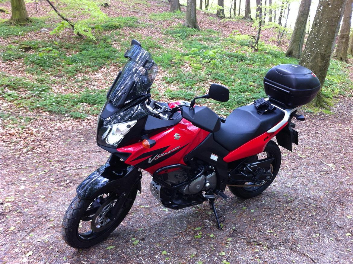 Suzuki Dl 650 V Strom billede 1
