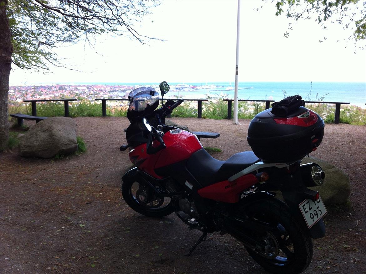 Suzuki Dl 650 V Strom billede 9