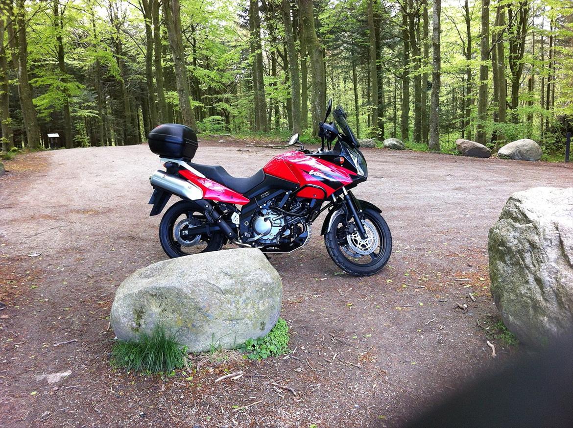 Suzuki Dl 650 V Strom billede 10
