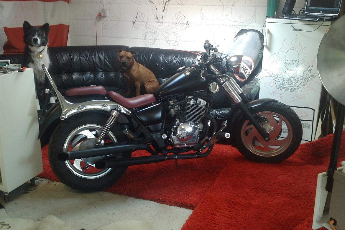 Jinlun 250-5 JL billede 1