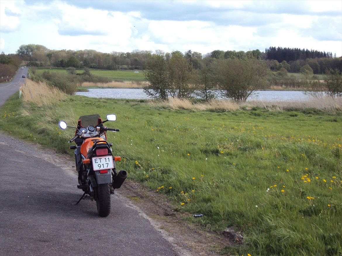 Suzuki GS 500 E billede 8