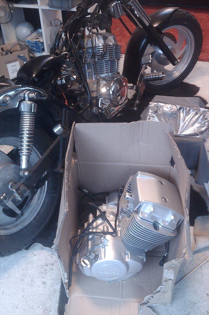 Jinlun 250-5 JL - HELT NY FABRIKS MOTOR ;) SÅDAN billede 20