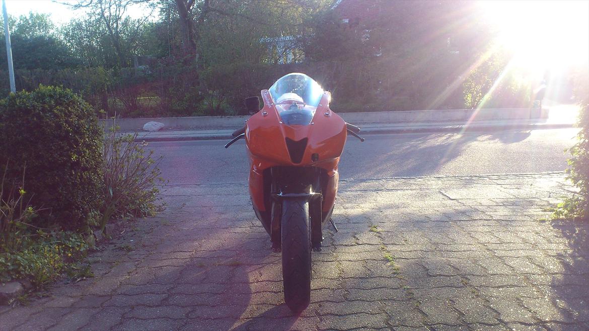 Honda CBR600RR billede 8