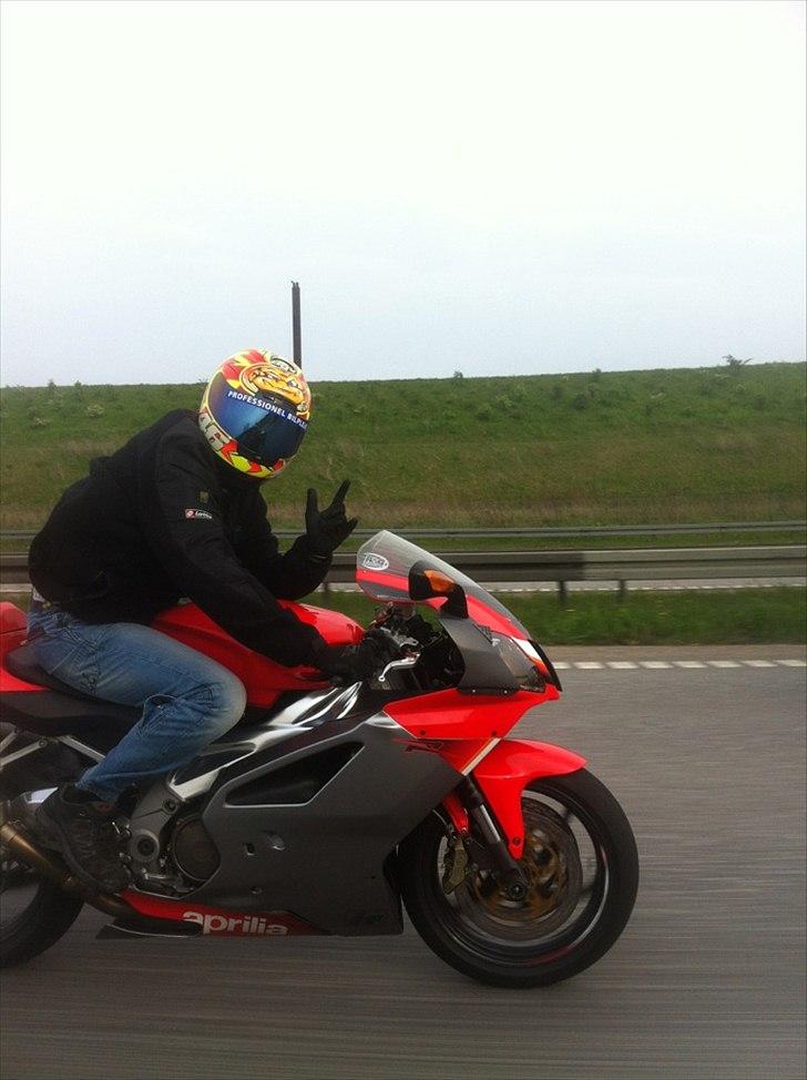 Aprilia RSV 1000 RR billede 7