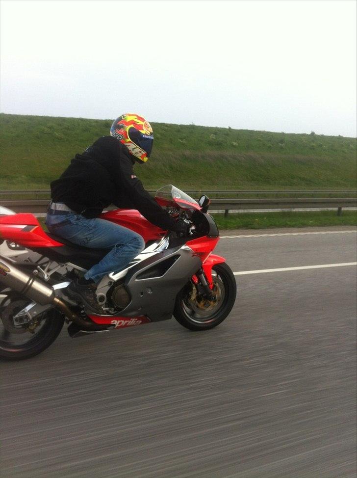 Aprilia RSV 1000 RR billede 8