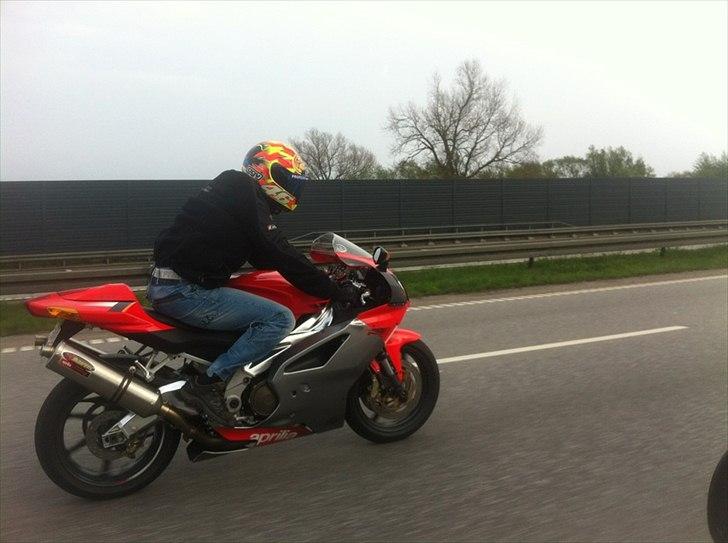 Aprilia RSV 1000 RR billede 6