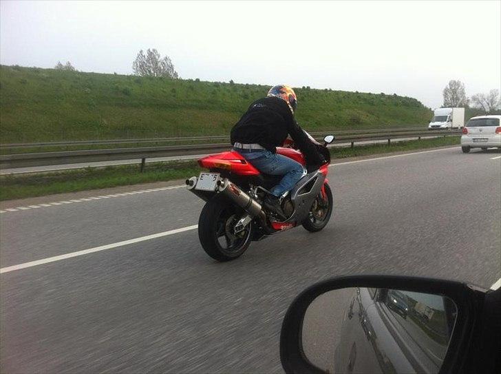 Aprilia RSV 1000 RR billede 9