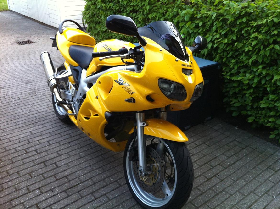 Suzuki SV 650 S billede 16