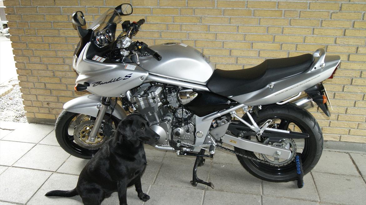 Suzuki GSF600s  Bandit billede 1