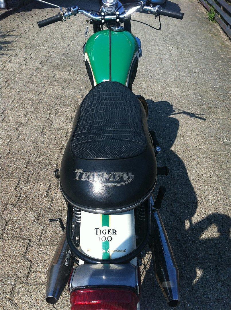 Triumph Tiger 100ss billede 15