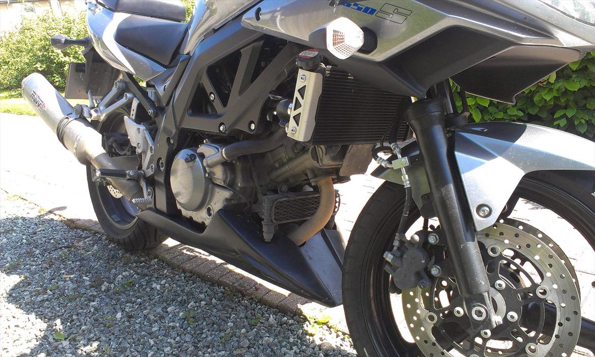Suzuki SV 650s "Sven" billede 10