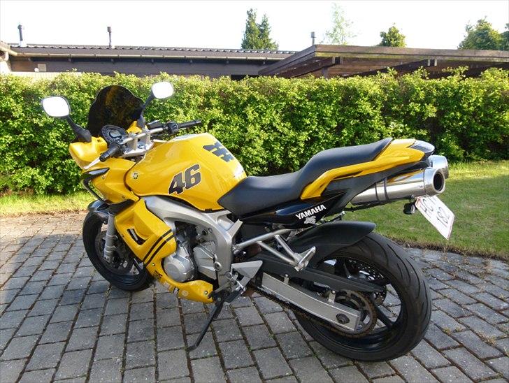 Yamaha FZ6 (solgt) billede 1