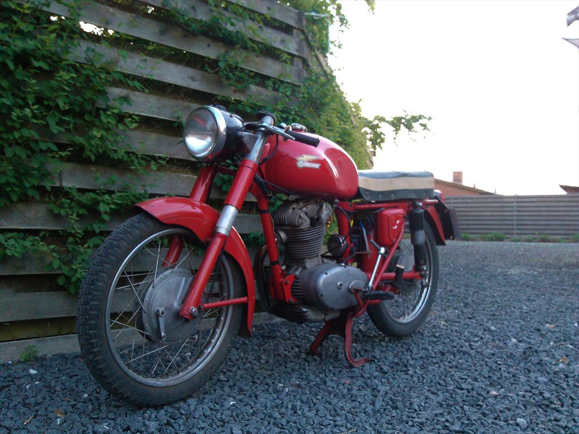 Ducati 175 TS billede 2