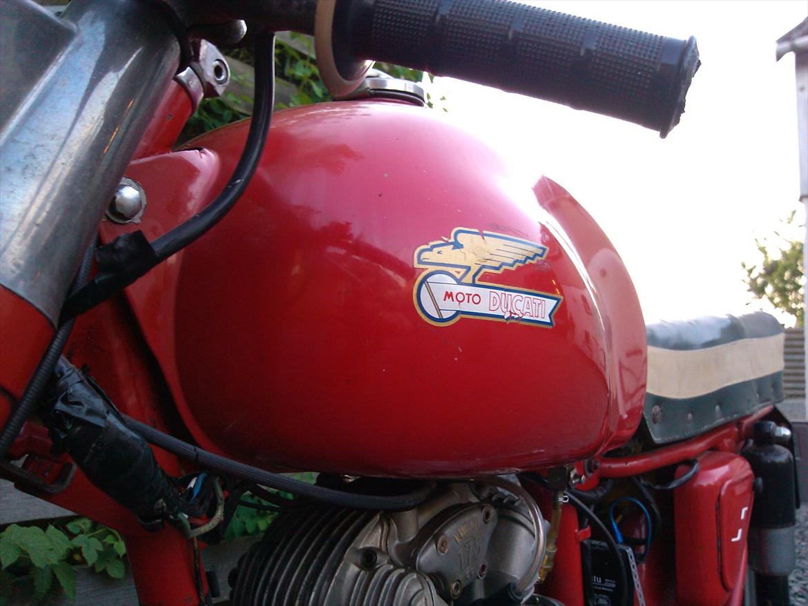 Ducati 175 TS billede 5