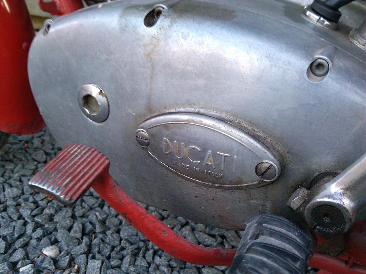 Ducati 175 TS billede 8