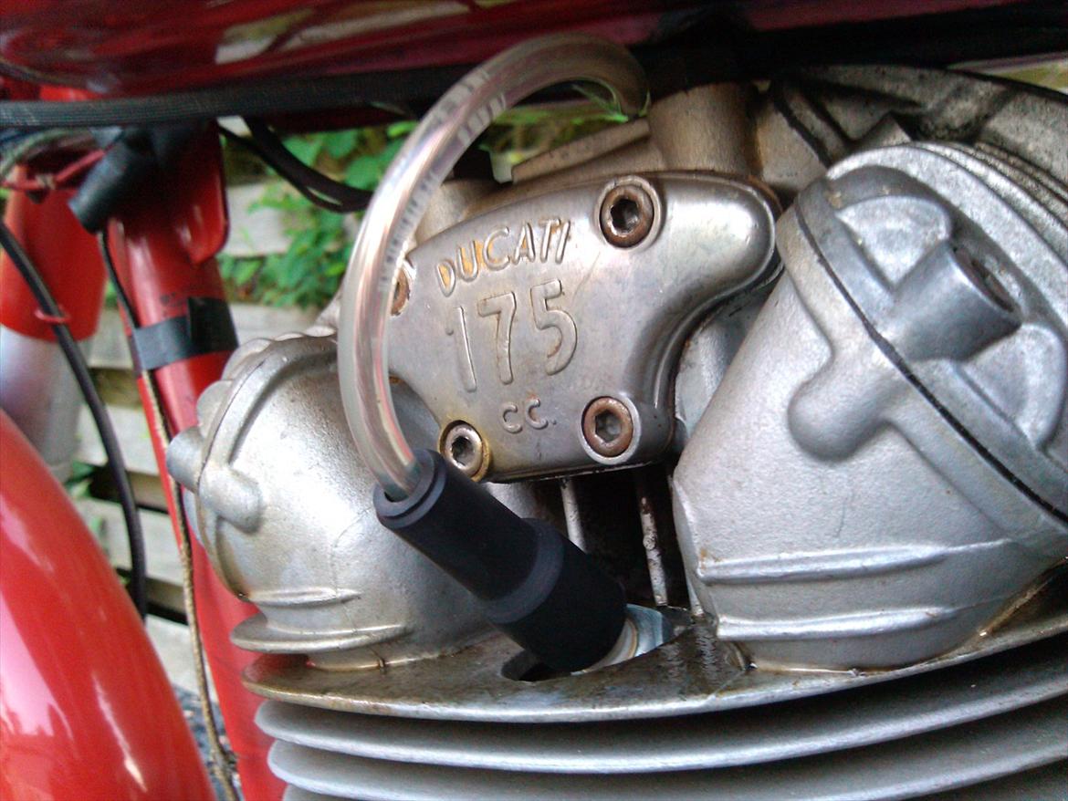 Ducati 175 TS billede 9