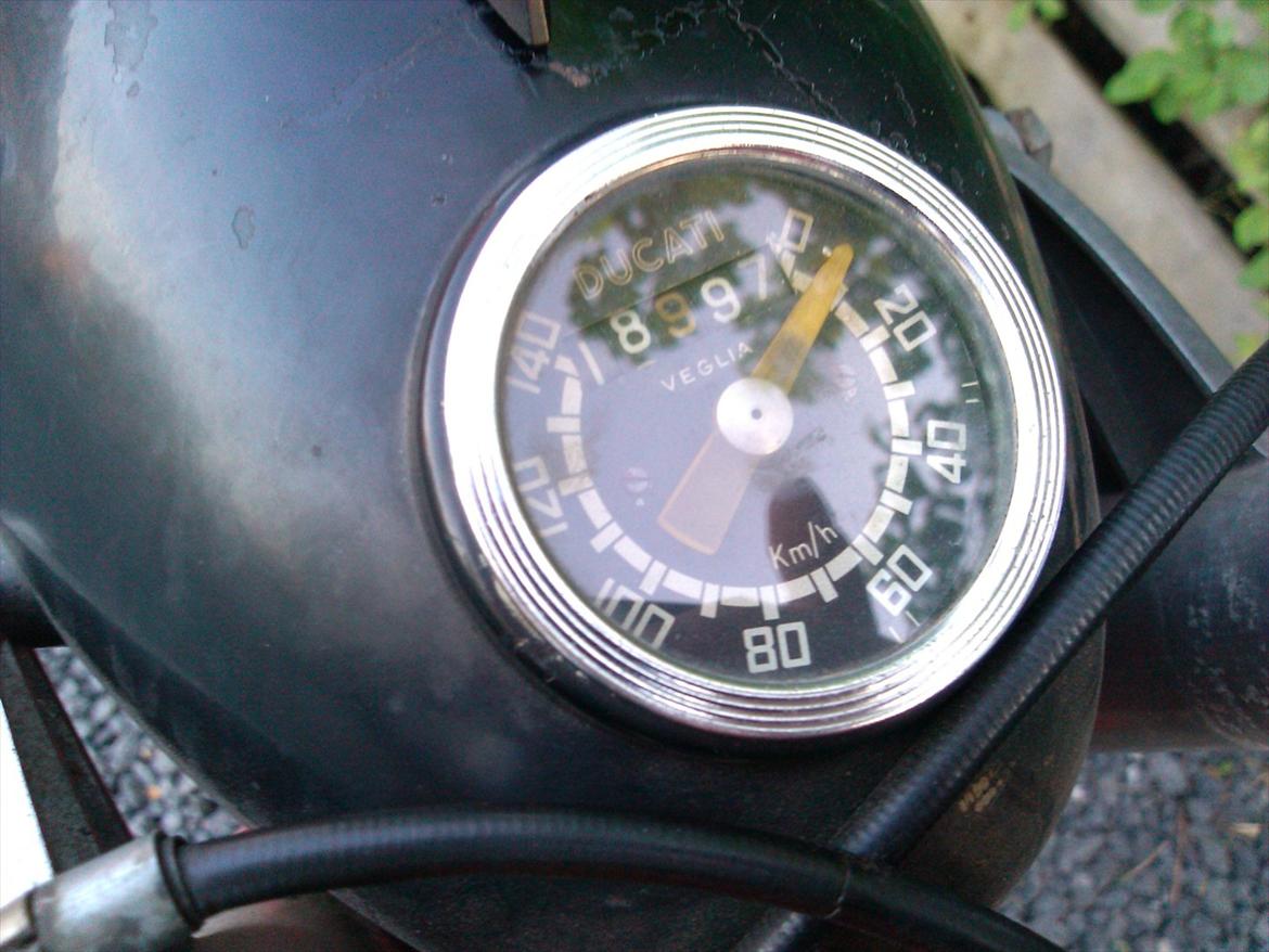 Ducati 175 TS - Gud ved om det dér passer nogle steder. billede 11